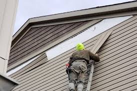 Best Fascia and Soffit Installation  in De Leon, TX